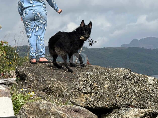 Odan for sale in Helensburgh, Argyll and Bute