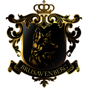 Brusavenberg GSD Kennel - Licensed German Shepherd breeder