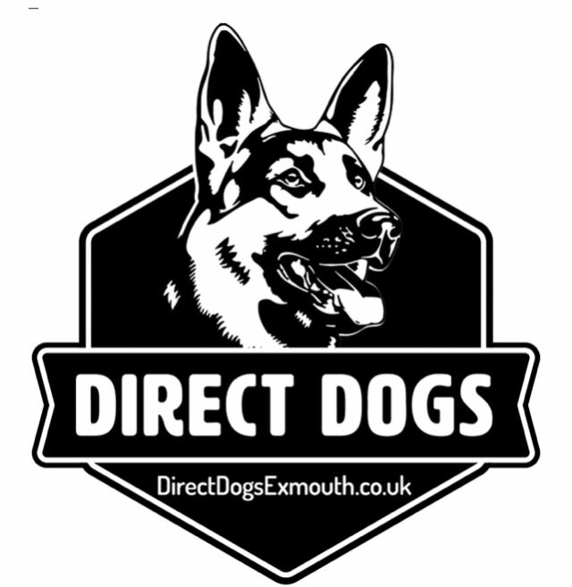 Direct Dogs Exmouth - German Shepherd breeder